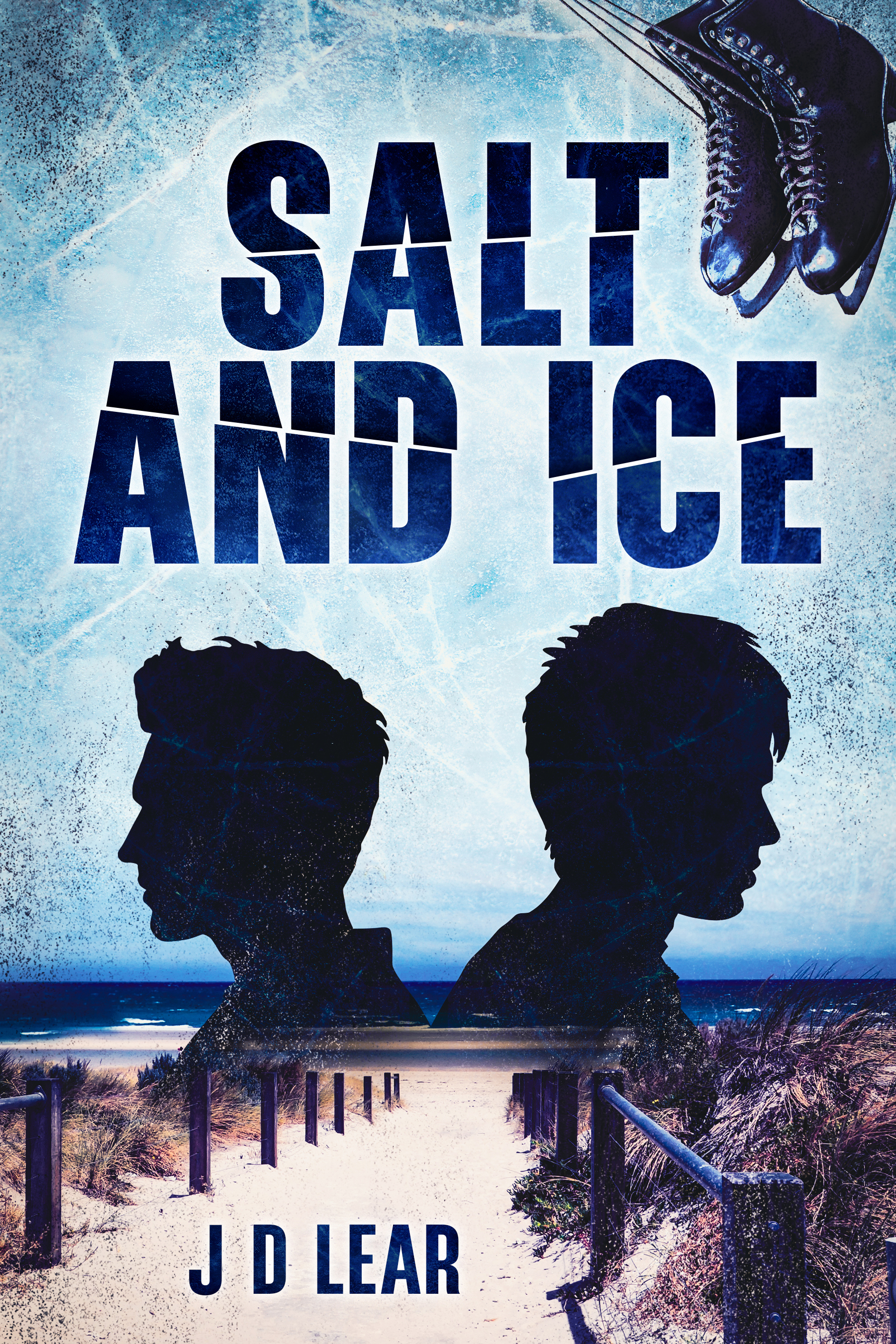 Salt and Ice by J D Lear